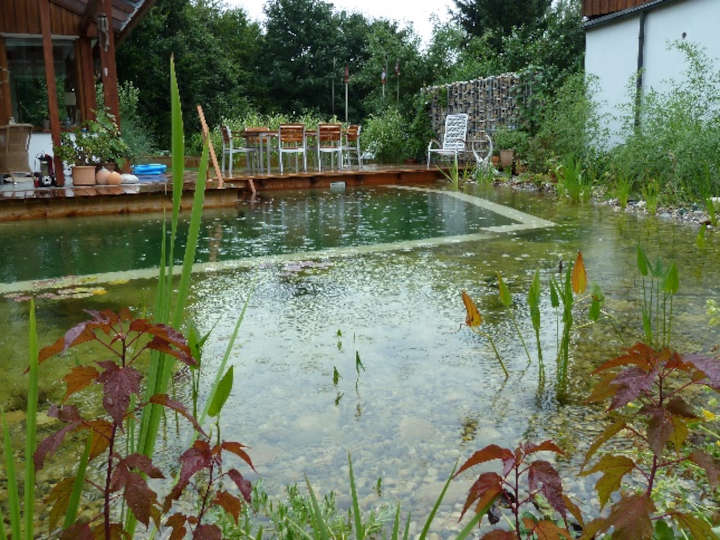 Johannes Fritsch Freiraumgestaltung Schwimmteich Wasser 2025