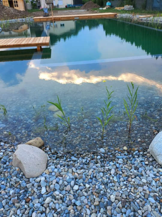 Johannes Fritsch Freiraumgestaltung Schwimmteich 2025 15 kl