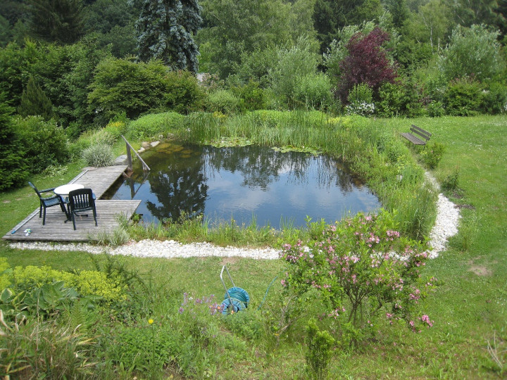 Johannes Fritsch Freiraumgestaltung Schwimmteich 2025 15 kl