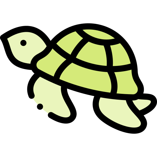 turtle back